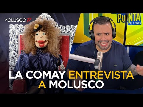 La Comay ENTREVISTA a Molusco y lo hace pedazos ?