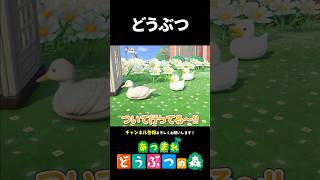 【あつ森】動物の形をした家具が可愛すぎる