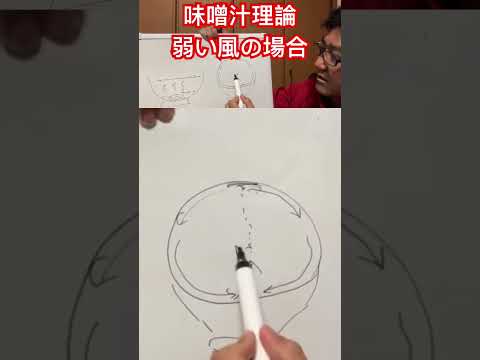【味噌汁理論】弱い風の場合、プランクトンがどう動くかでベイトやバスの居場所を特定できる#バス釣り #バスフィッシング #bassfishing #fishing
