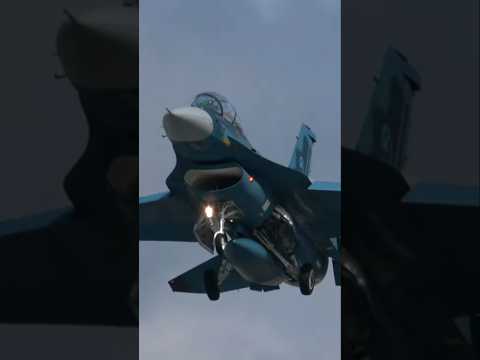 目の前で見たF-2の着陸がカッコ良すぎた 日本航空自衛隊、岐阜基地！