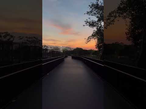 Sunset Depan Rumah Om Lagi #deephouse #youtubeshorts #shorts #shortvideo #short #shortsvideo