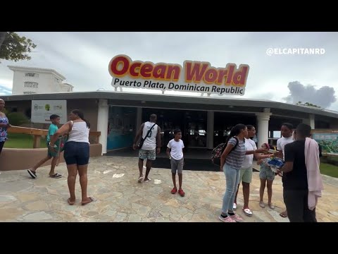 Ocean World Verano 2022, La Experiencia que debes vivir