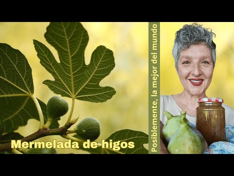 ? CÓMO QUITAR LAS PEPITAS A LAS MORAS ? con Thermomix®  #TM6  ?