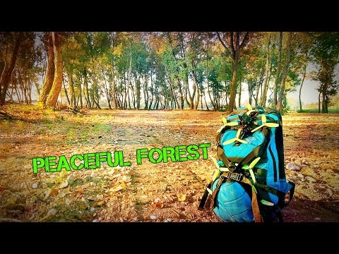 Peaceful Forest - DXL FPV - UCs7PzBwYqQH5zib6Rqnz-Kg