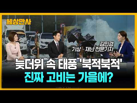늦더위 속 <strong>태풍</strong> '북적북적'...진짜 고비는 가을에? [세상만사] #무더위 #<strong>태풍</strong> #기상재난