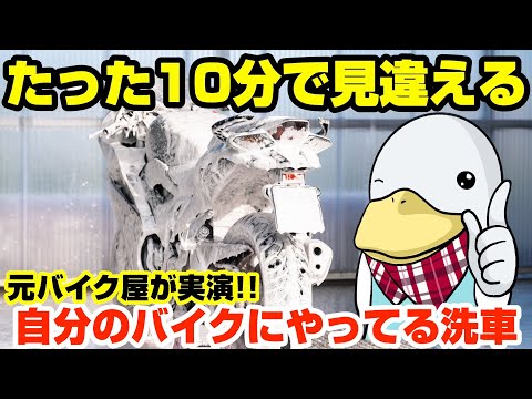 【作業実演】簡単10分で激的キレイに!!元バイク屋の日常洗方法‼︎