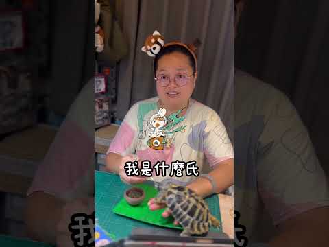 如果我入宮,我是什麼氏?