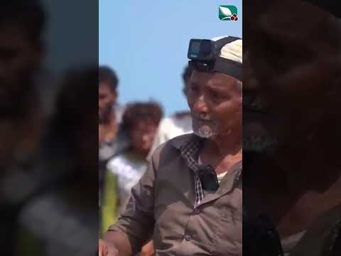 قناة السعيدة الفضائية