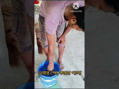 🛖ফরমালিন স্প্রে ফার্মের জীবাণুমুক্তকরণ🌿#shorts#shortvideo #shortsfeed #farming #pets #birds #chicken