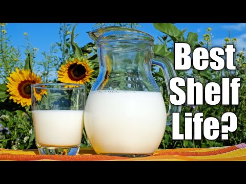 What's the BEST Milk to Store? | Pantry Preps #Shorts