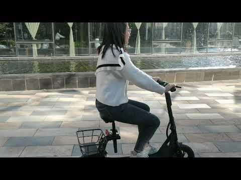 500 watt 12 inch 2 two wheel foldable electric scooter with adult seat