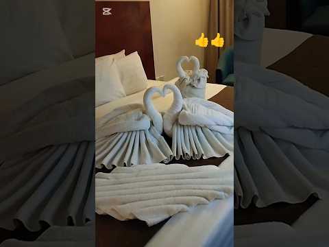 #shortvideo#love #viral #towels #housekeeping #towel setup#👍👍