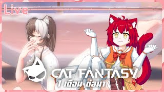 「LIVE」Cat Fantasy 1 เดือนต่อมา... ใช่ มีแต่เรื่องดีๆ-