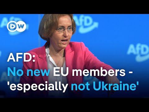 Behind German far-right party AfD's 'no to Ukraine' in the EU