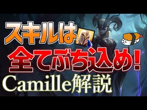 【カミール vs ケイル】カミールのフルコンボを叩き込め！！最強のカミール講座【DFM Evi解説】