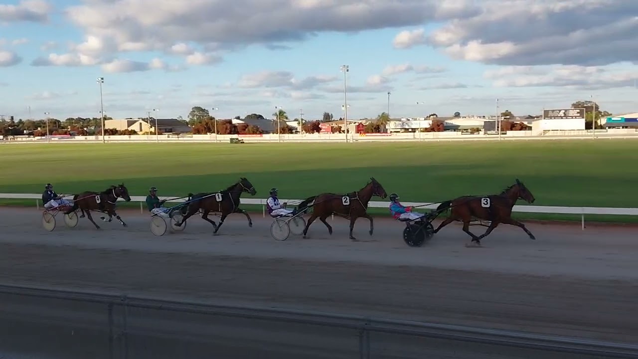 trial-results-mildura-harness-racing