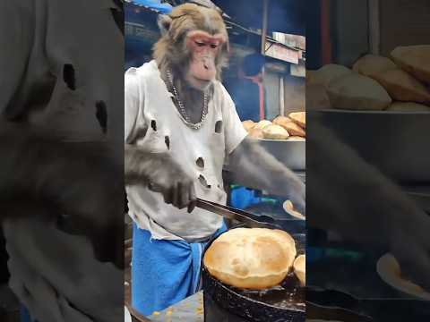 Bantoo Bhai Chole Bhature Wale 😂🥘,Police Lafda Special 🚨👮♂️ #monkeyvlog #aimonkeyvlog