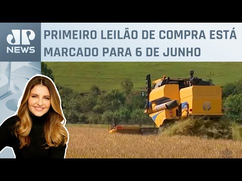 Kellen Severo: Importação de arroz custará bilhões aos cofres públicos