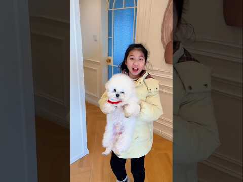 She Thought The Cats Won... But She Had The Last Laugh! 😂