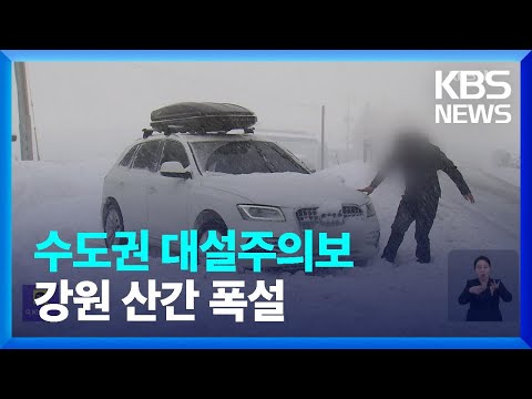 최고 60cm 폭설…가로수 쓰러지고 눈길 사고 잇따라 / KBS  2024.02.21.