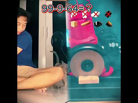 KUCING SUPER NI BOS😬 #shorts