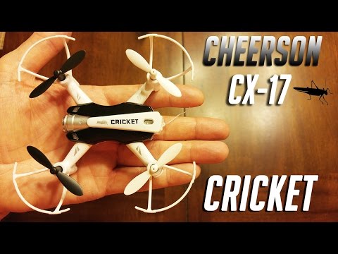 Cheerson CX-17 "Cricket" Review & Test Flight - UC-fU_-yuEwnVY7F-mVAfO6w