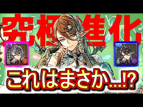 【とある予感が...】アルバートに究極進化が2種実装!!これは楽しみ!!あ、でも私アルバート持ってないやwww【パズドラ】