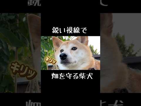 2025年8月12日