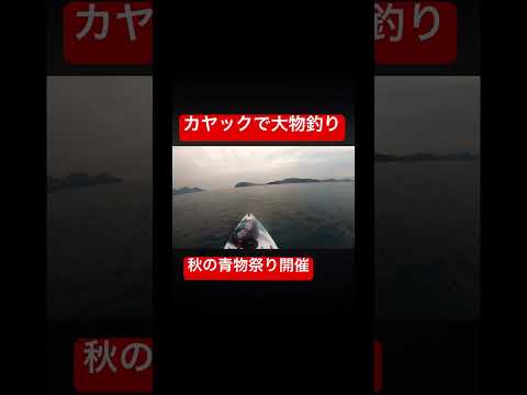 ピョンピョン跳ねる魚を無様に追いかける#shorts #釣り #fishing