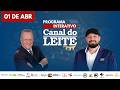 Canal do Leite Interativo 01/04/2026
