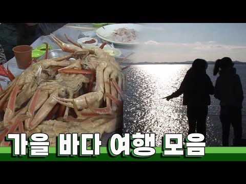 맛있는 밥도 먹고 가을 바다도 보고! 가을 바다 여행 모음｜[국내여행] KBS 방송