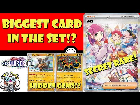 Pokemon TCG News