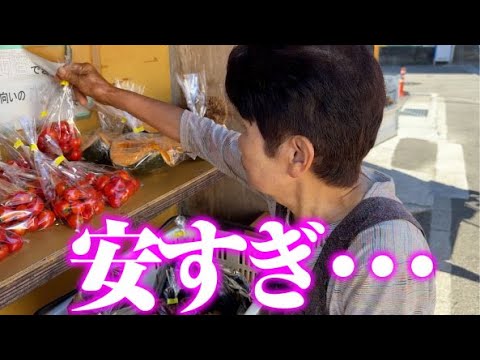 【1袋100円】【良心市にお野菜出します】ちょいちょい少しずつ出しています【無人販売】【ナス】【ミニトマト】【かぼちゃ】【清黒中長ナス】【べにすずめ】【神の杜】