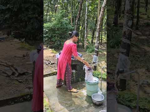 ചില ദിവസങ്ങള് 🥰#youtube #family #explorevideo