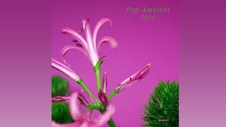 Marsen Jules -  The Philosophers Trap 'Pop Ambient 2014' Album