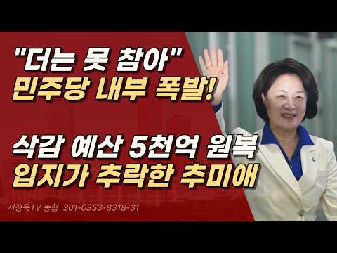 '경기도 <strong>마녀</strong>' 추미애에 뿔난 민주당, 상의 없이 예산 원상복구, 정치적 압박까지? ㅣ서정욱TV