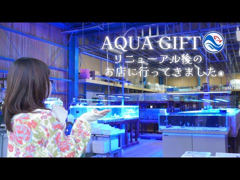 リニューアル後のアクアギフトさんに行ってきました❀店舗紹介 海水魚水槽 アクアリウム Marine aquarium.