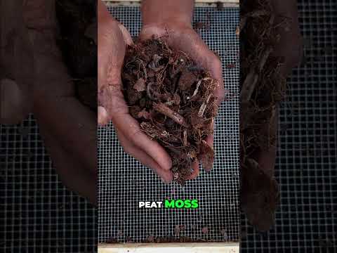 A year in the making — waste to rich soil. ♻️This is real recycling. 🌱