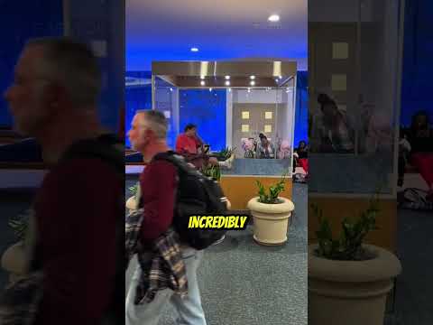 now that's a long lap nap🥺