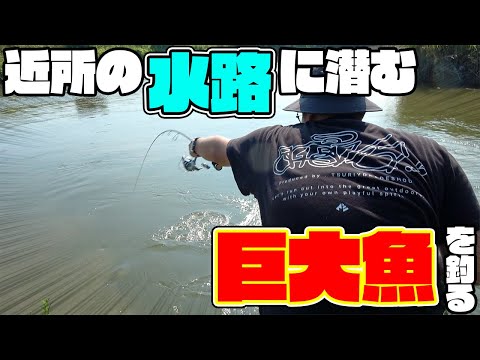 水門のカドにルアーを落としてみると…!?