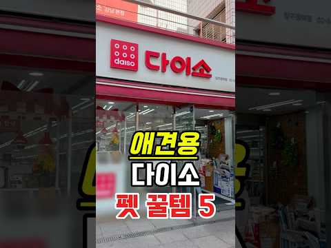 애견용 다이소 펫 꿀템 5가지