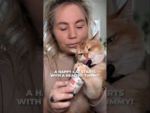 👩⚕️ Vet-Crafted. Pet-Approved. 🇺🇸 #catmom #catcare #catcaretips