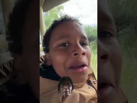 Do you have a cheetah in Africa?# Mr. Beast