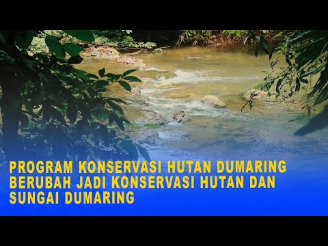 PROGRAM KONSERVASI HUTAN DUMARING BERUBAH JADI KONSERVASI HUTAN DAN SUNGAI DUMARING