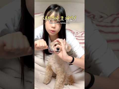 피어스 멤버들의 사랑스러운 반려견을 최초 공개합니다🐶💗 #재밌는영상 #재밌는 #웃긴 #웃긴영상 #<strong>funny</strong> #예능 #반려견 #반려동물