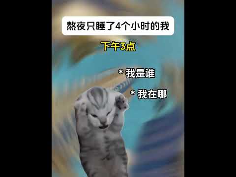 猫の動画サムネイル - 可不可以让周末过得慢一点#有趣 #猫meme #猫meme剧场 #猫meme小剧场 #内容过于真实  #故事 #貓 #猫猫meme小剧场 #喵不可言
