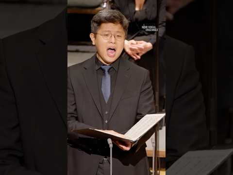 🌙 "Nachthelle" zur Sommersonnenwende☀️#NDRVokalensemble #Sommer #HeejunKang #Schubert