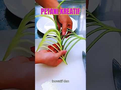 Petani yang Kreatif | Buah Semangka #shorts #petani #kreatif #agrikultur #ideas #viralvideo