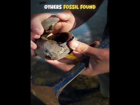 Bro Found Titanoboa Fossil ☠️