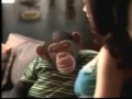 Bud Light talking monkey commercial - funny